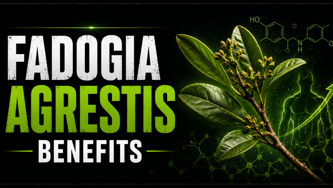 Fadogia Agrestis Benefits