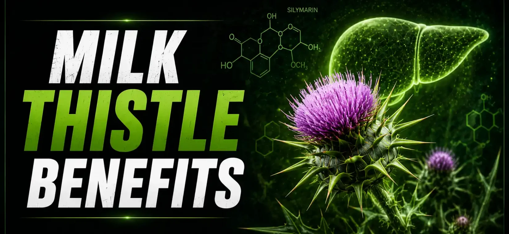 Milk Thistle Benefits