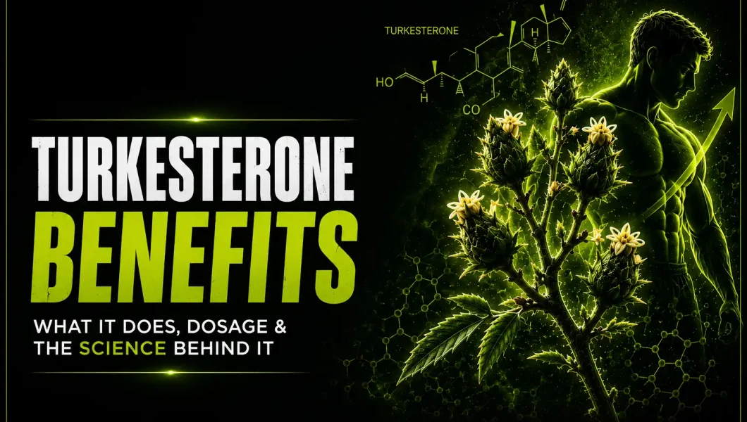 Turkesterone-Benefits