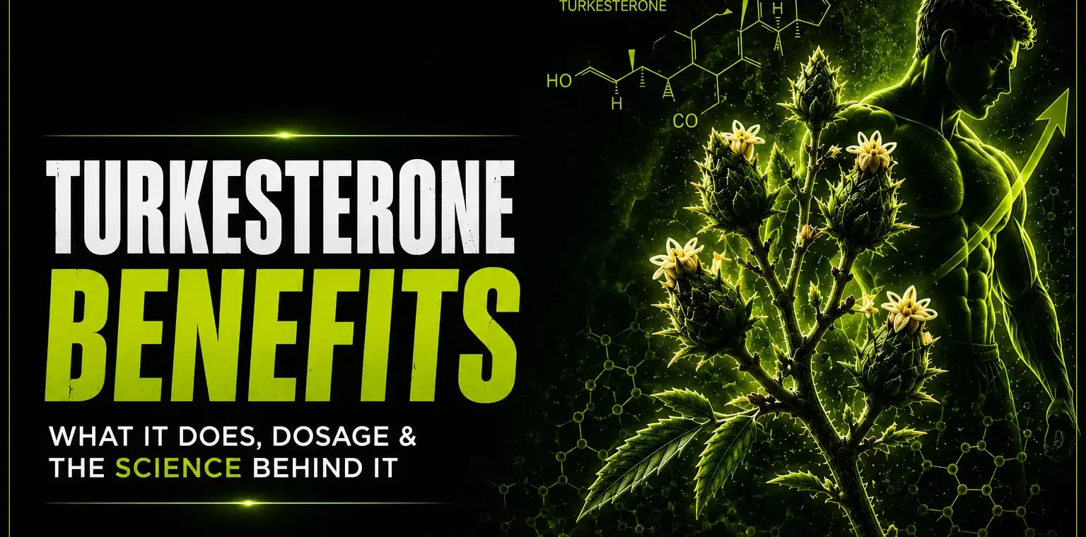 Turkesterone-Benefits